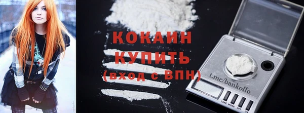 гидра Билибино