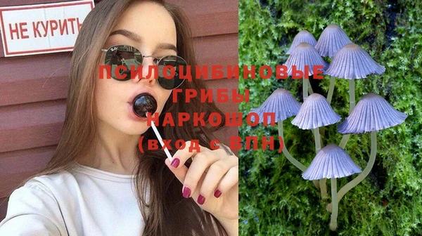 мяу мяу мука Магадан