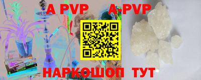 спайс Берёзовский