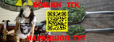 индика Гагарин