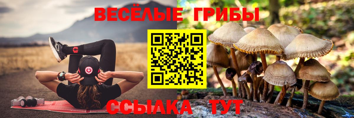 Галлюциногенные грибы MAGIC MUSHROOMS  Вход с VPN  Екатеринбург 