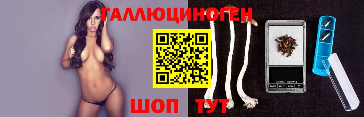 где найти   Екатеринбург  Галлюциногенные грибы мухоморы 